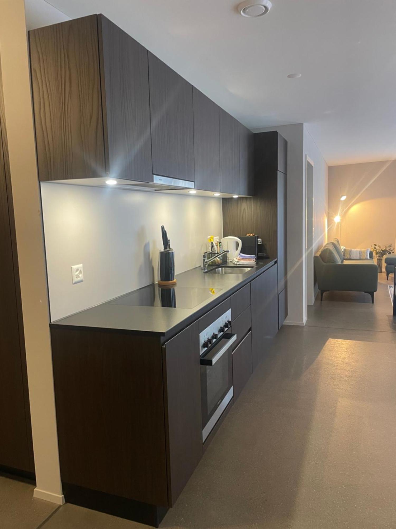 Modern City Apartments 인터라켄 외부 사진
